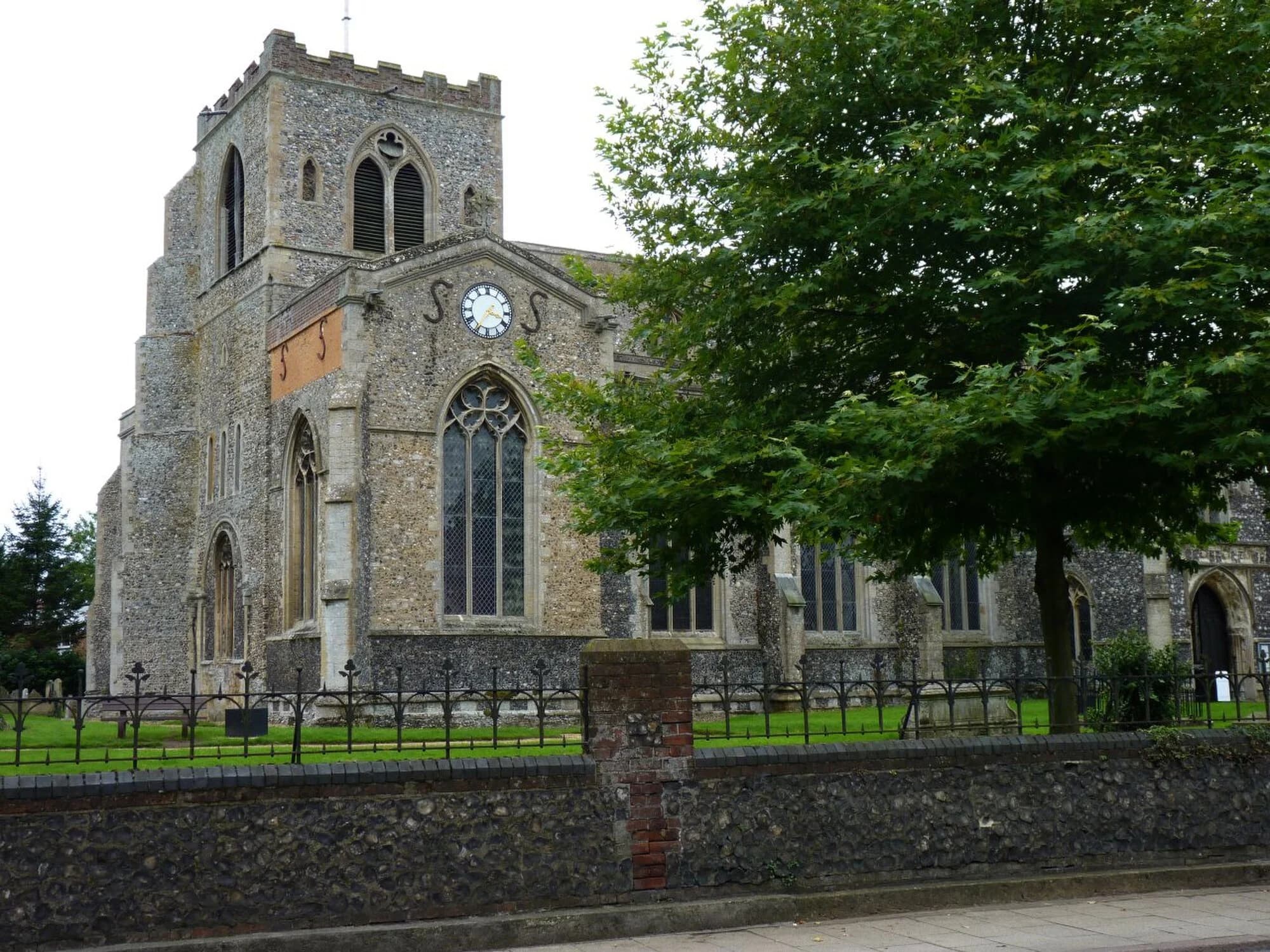 Vets in Attleborough